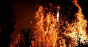 Mueren calcinados 20 niños en incendio en Níger