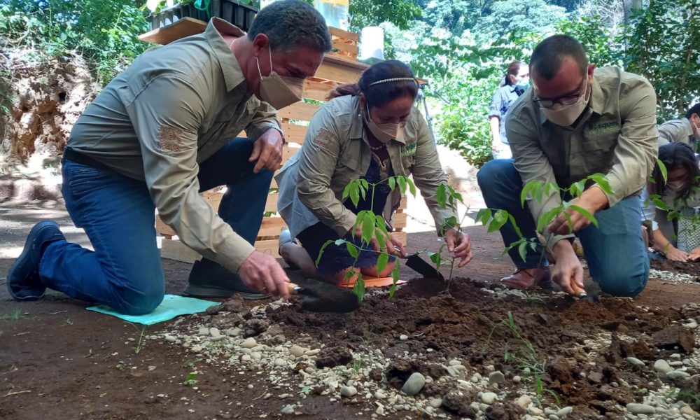 Nestlé lanza el programa de reforestación “Bosques del Mañana” para sembrar 8.6 millones de árboles en Nicaragua