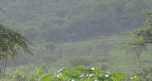 Dos mineros fallecidos en san isidro Matagalpa