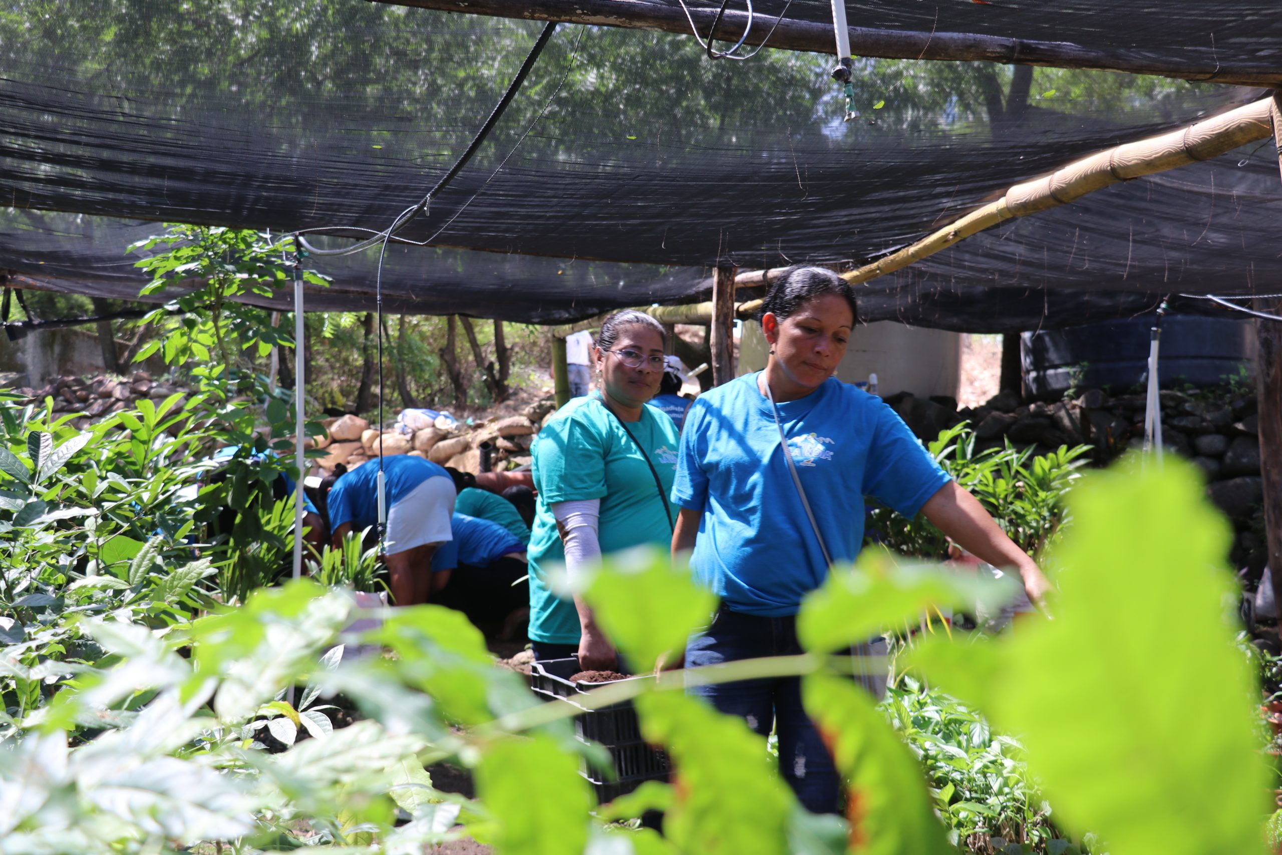 Lideres comunitarios y brigadistas