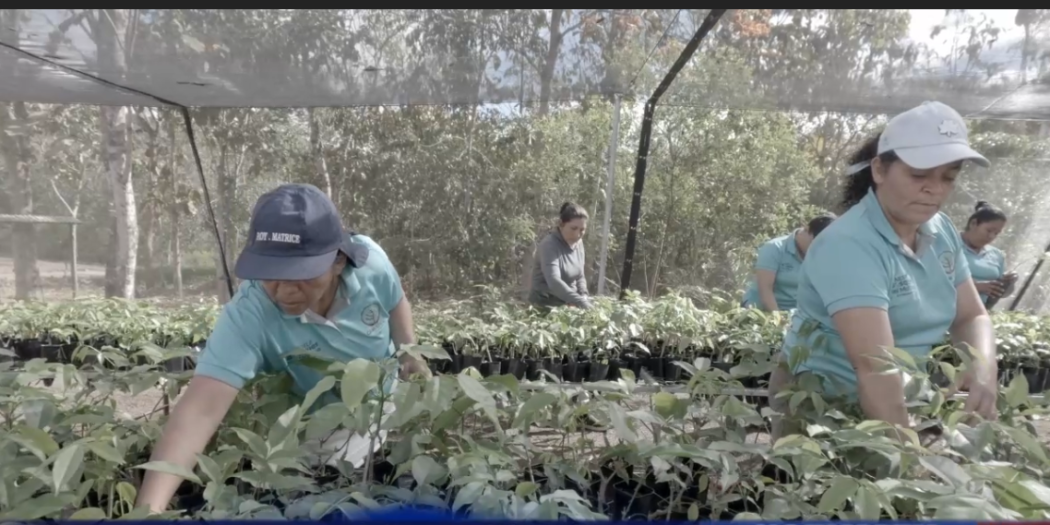 En el marco del Día de la Mujer Rural Nestlé agradece y visibiliza el trabajo de las mujeres rurales