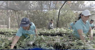 En el marco del Día de la Mujer Rural Nestlé agradece y visibiliza el trabajo de las mujeres rurales