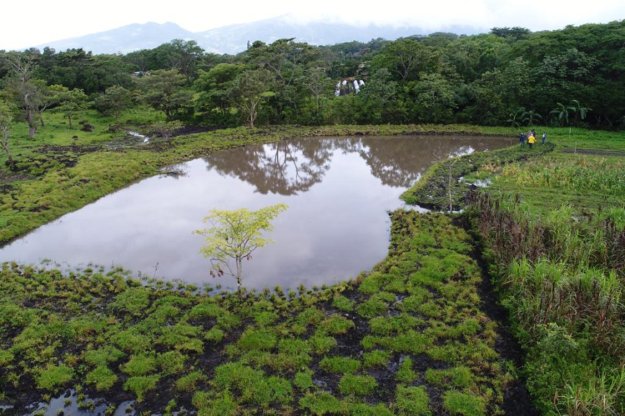 Cosecha de agua llovida en Costa Rica para combatir escasez I Imagen cortesía Rumbo Económico Costa Rica
