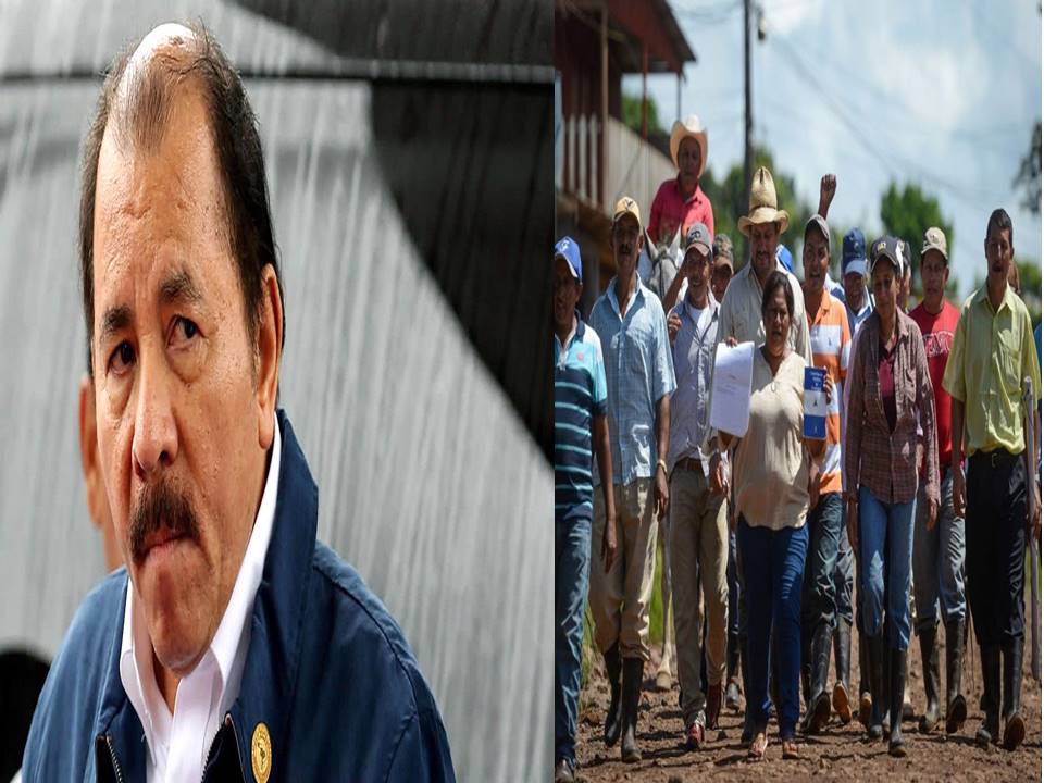 Daniel Ortega el verdugo de los campesinos. /imagen referencia de google