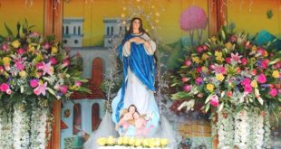 Obispo de Matagalpa insta a celebrar la gritería en casa