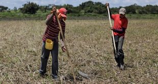 Movimiento Comunal brinda apoyo económico a agricultores de Matagalpa