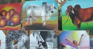 Artistas nicaragüenses ofertan cuadros de pintura en Matagalpa