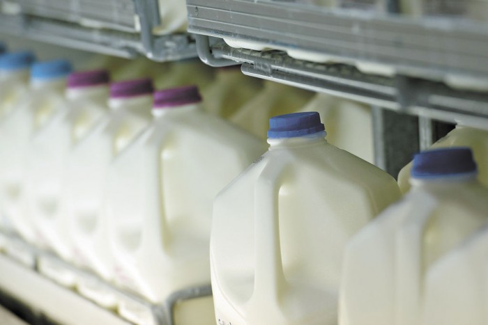Bajo precio de la leche afecta a pequeños productores del norte del país 