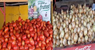 Sebaco: Lluvias provocan escases e incremento en los precios del tomate y la cebolla