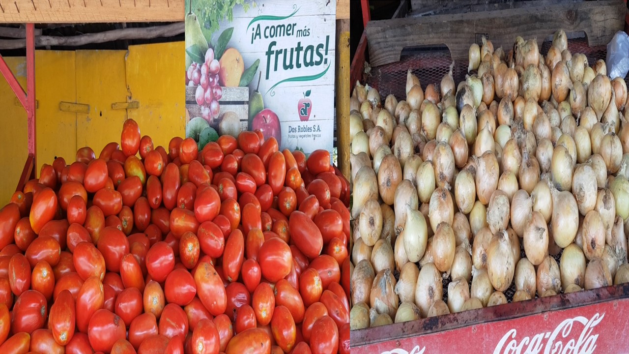 Sebaco: Lluvias provocan escases e incremento en los precios del tomate y la cebolla