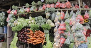 Verduras incrementan su costo debido a los factores climáticos