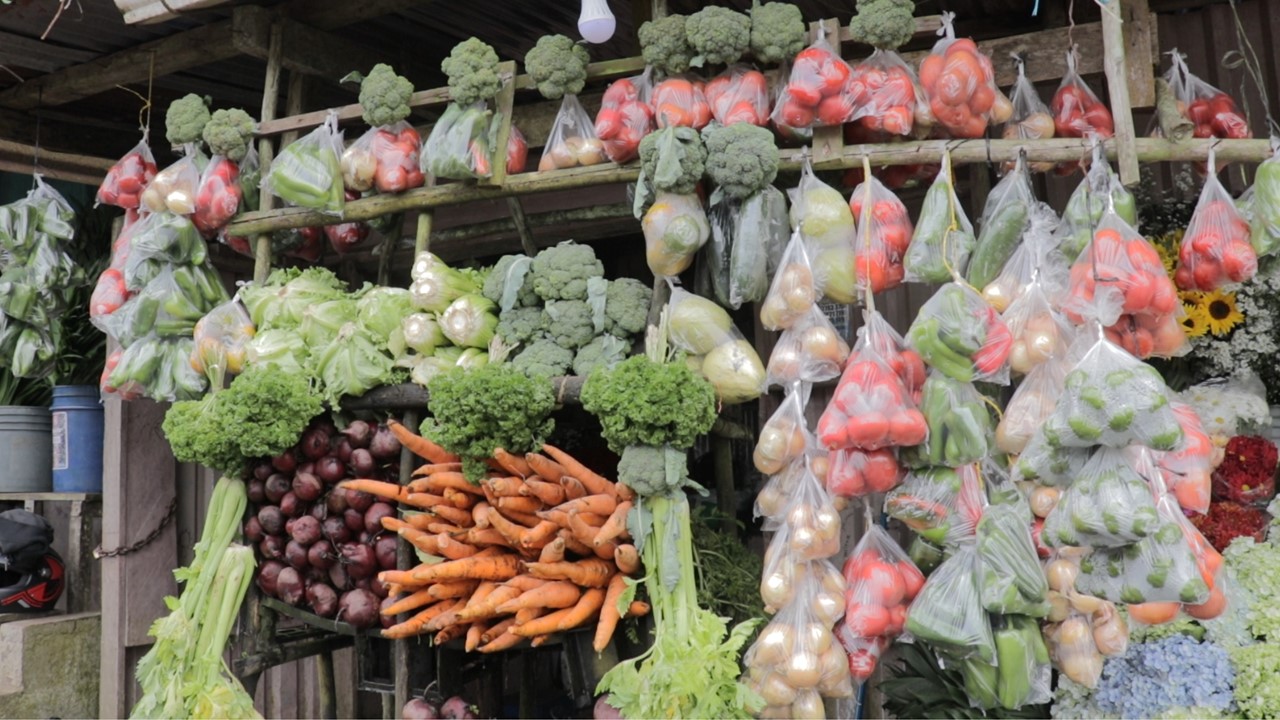 Verduras incrementan su costo debido a los factores climáticos 