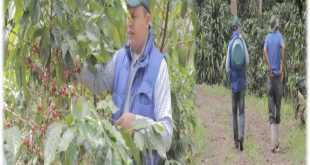 Padre Erick Díaz, el sacerdote que corta café con sus fieles en Matagalpa