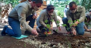 Nestlé lanza el programa de reforestación “Bosques del Mañana” para sembrar 8.6 millones de árboles en Nicaragua