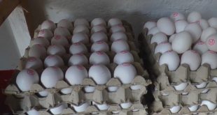 Matagalpa:  baja 10 córdobas el precio del huevo por cajilla