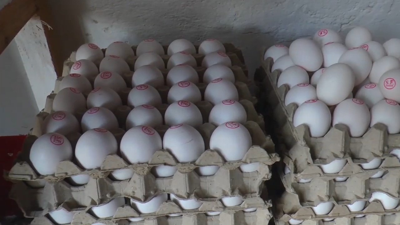Matagalpa:  baja 10 córdobas el precio del huevo por cajilla