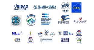 Organizaciones de la oposición nicaragüense presentan demandas urgentes a la OEA
