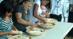 Feria del Maíz identidad ancestral de los matagalpinos
