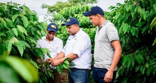 Nestlé reafirma su compromiso con la caficultura Nicaragüense